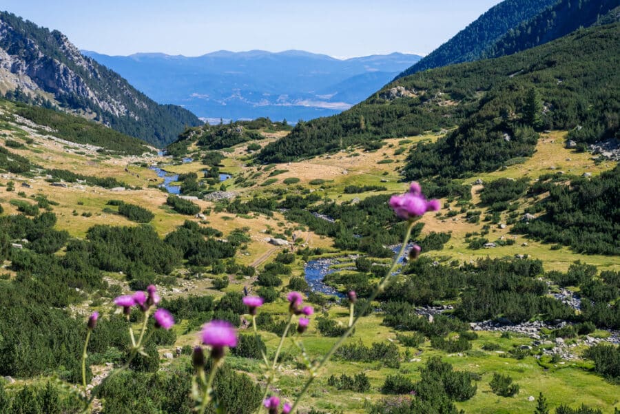 Valley and mountain slopes in Pirin National Park, Bulgaria.